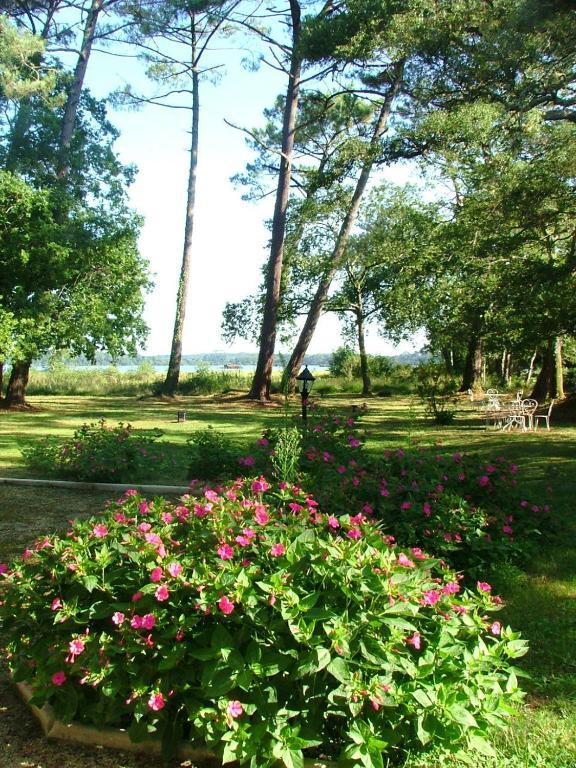 Villa De L'Etang Blanc Сеньосс Екстер'єр фото